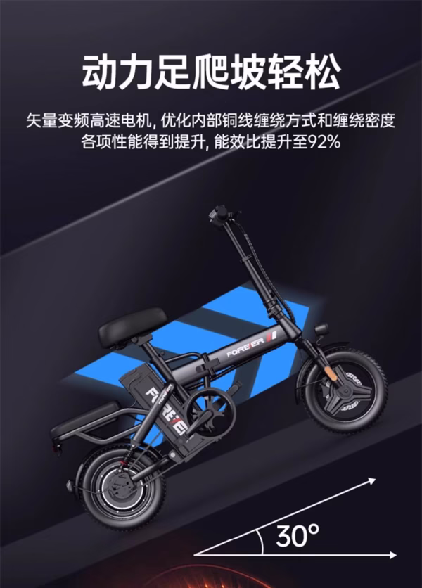 Permanent Folding Electric Bicycle - Image 15